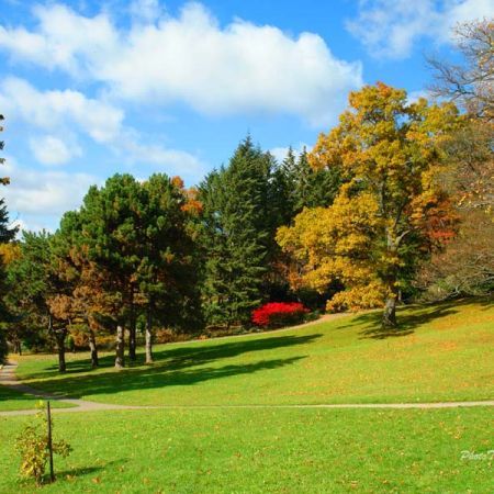 Toronto high park